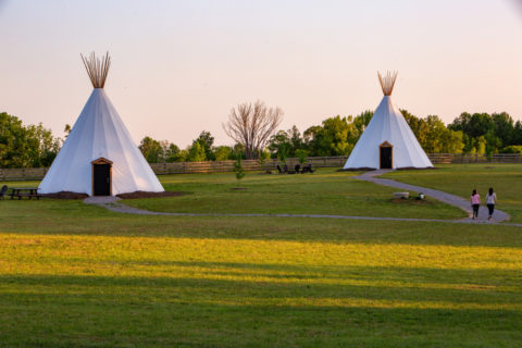 Glamping Tipis