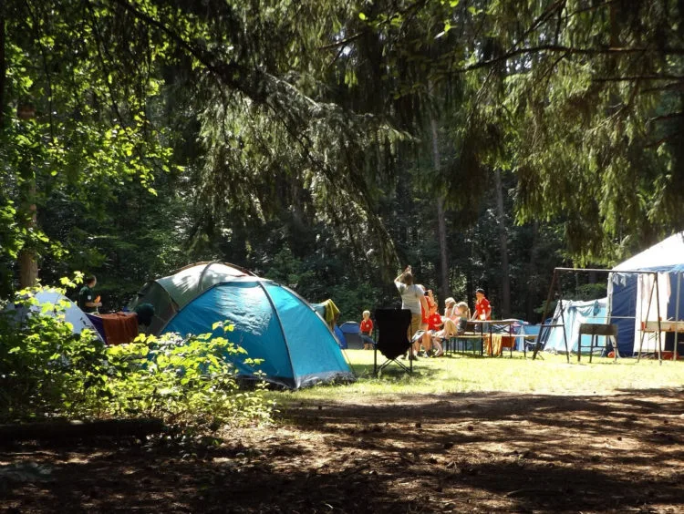 vap camping Going camping, lets to see how the FW9 pod system functions in the wild,  trying to sneak around in the dark for a quick vape : r/vaporents