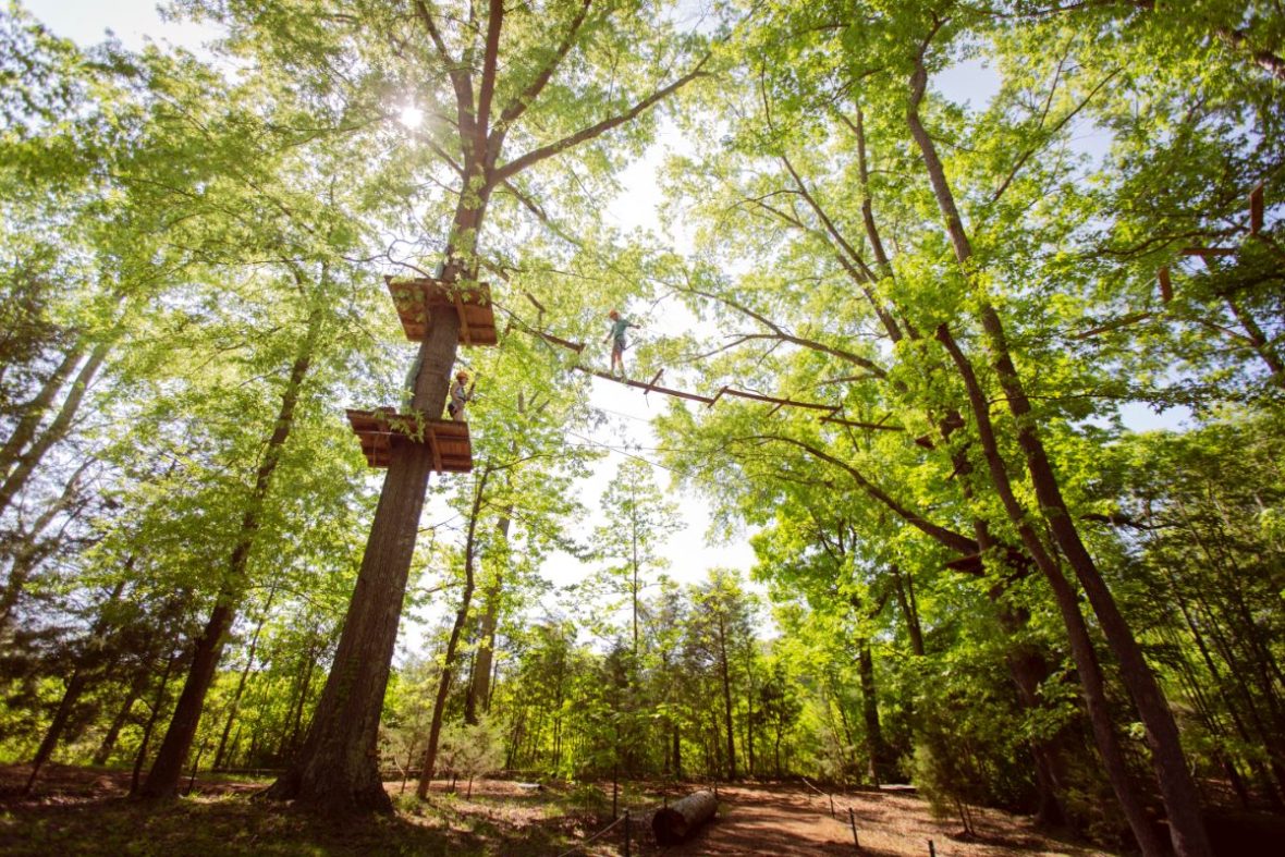 Adventure Park at Sandy River