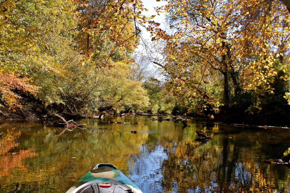 kayaking on the appomattox river