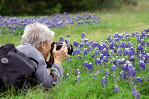 Dr. Cynthia Wood photographing wildflowers
