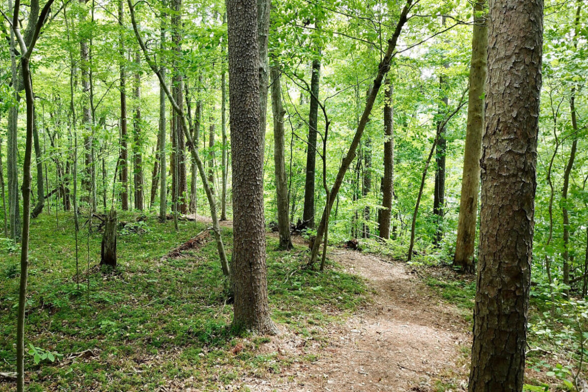 Holliday Lake State Park