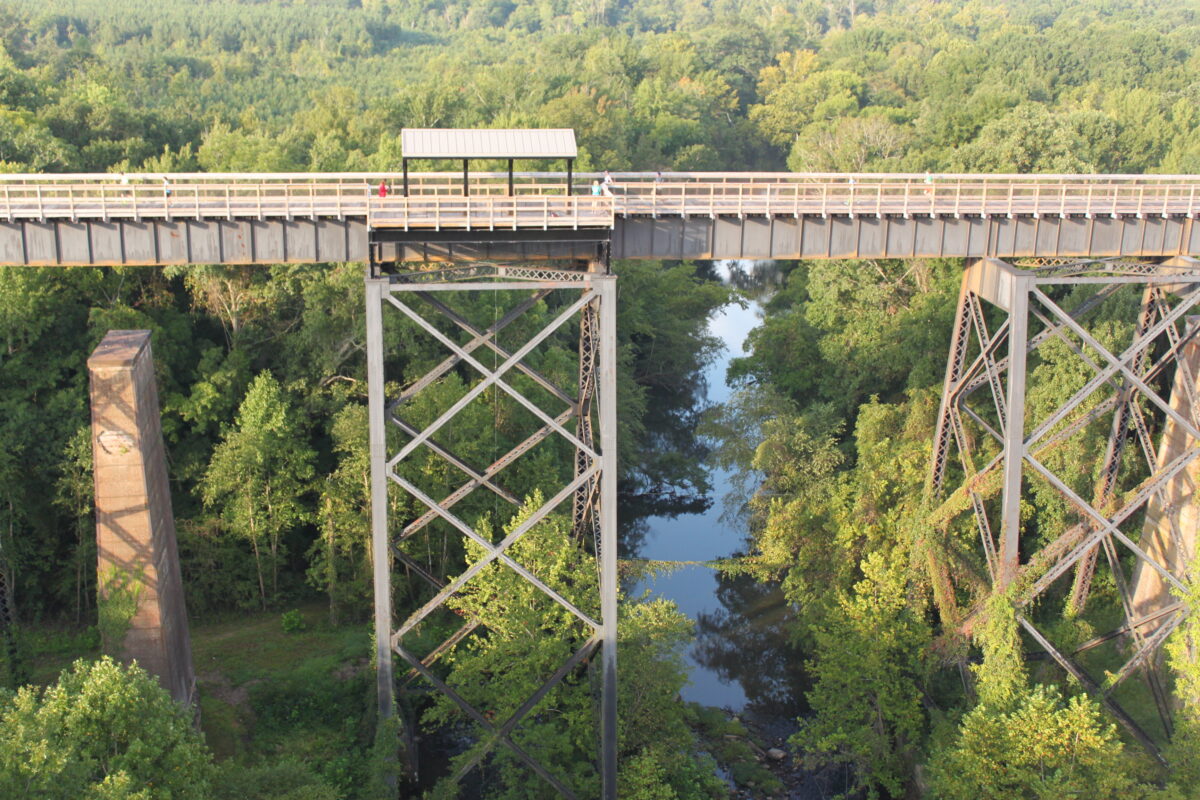 birding-on-the-bridge-visit-farmville