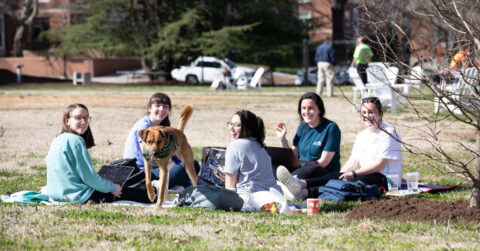 Longwood students having a picnic