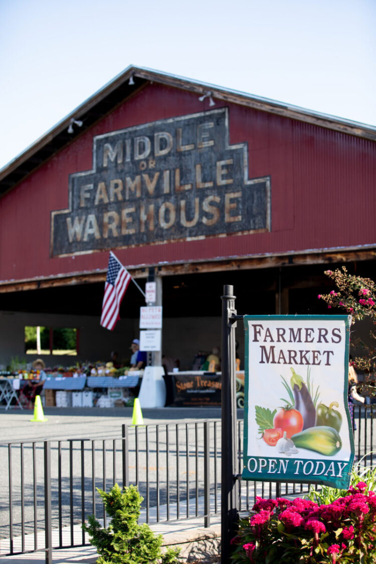 Light the Way for Summer Farmville’s Firefly Festival Visit Farmville