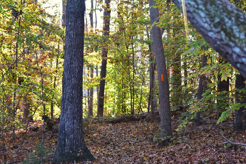 discovery nature walk