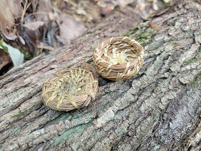 pine needle basketry