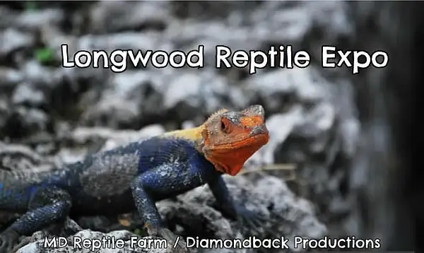 Longwood Reptile Expo